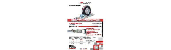 Cintas carga VEHICULOS PESADOS con trinquetes – VDI 2700-2